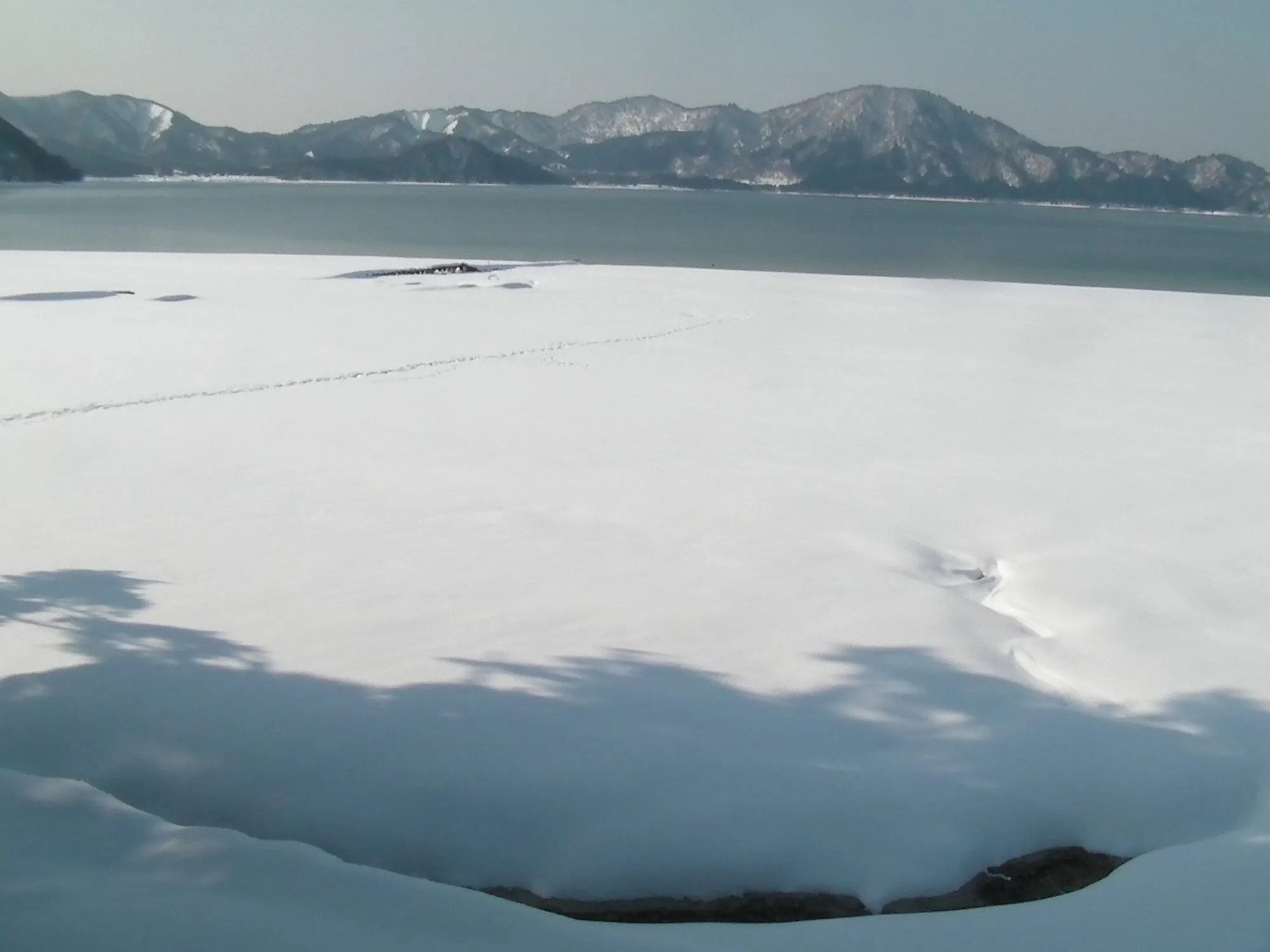 雪に覆われた湖岸から